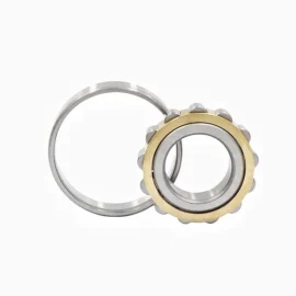 Cylindrical Roller Bearing, N317 ECM