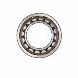 NJ2205ECP Cylindrical Roller Bearing NTN SKF NSK IKO KOYO INA