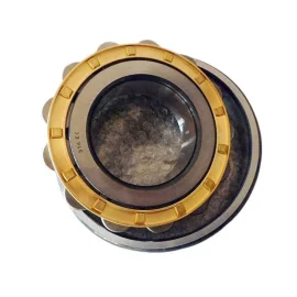 Cylindrical Roller Bearing, Metric N306ECM