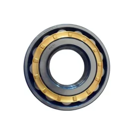 Cylindrical Roller Bearing, N316ECM