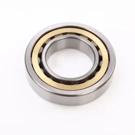 Cylindrical Roller Bearing NU320EM1