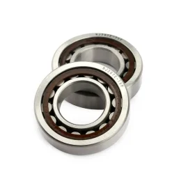 Cylindrical Roller Bearing NJ207E SKF NTN KOYO IKO TIMKEN