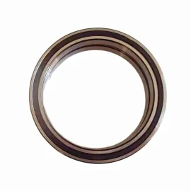 Deep Groove Ball Bearing, Sealed 6910 2RS