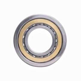 Cylindrical Roller Bearing NU2205 EM