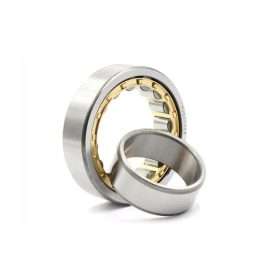 Cylindrical Roller Bearing NU2210EM